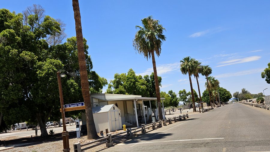 Palm-lined street and office at Rivers Edge RV Resort